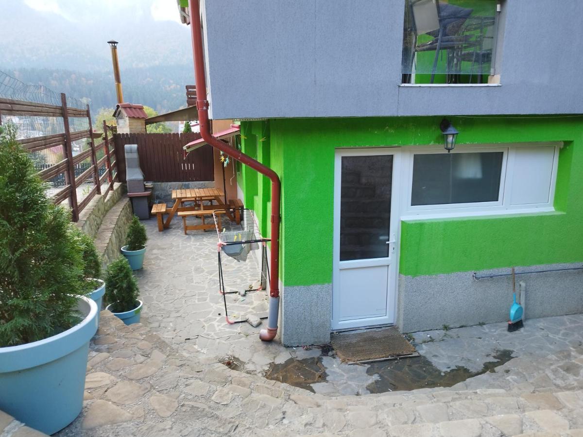 Vila Cri Cri Busteni Bagian luar foto